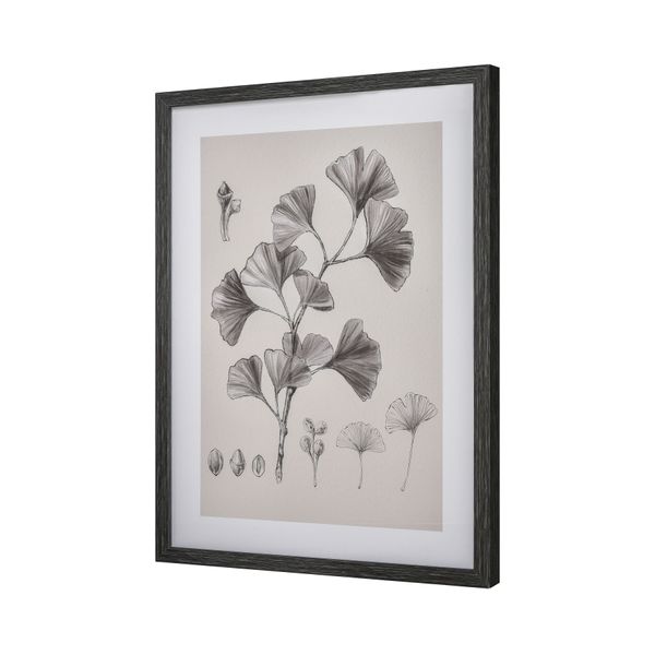Foliage II Framed Wall Art - Ivory