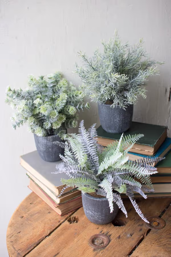 Set of 3 Ferns with Round Grey Pots