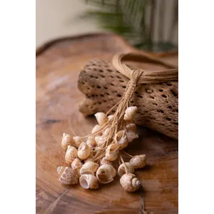 Multi-Layered Natural Jute with Shell Cluster Necklace 4