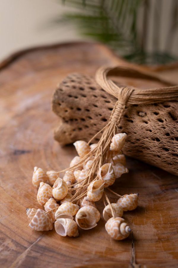 Multi-Layered Natural Jute with Shell Cluster Necklace