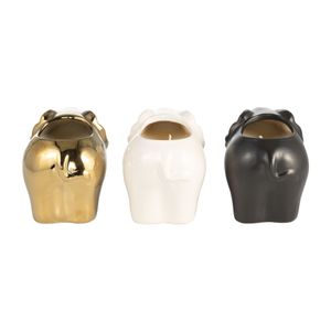 ARNETTCLIFF SET OF 3 PLUMERIA CANDLE 5 (IN) 5