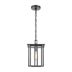 Radnor 8'' Wide 1-Light Outdoor Pendant - Matte Black 2