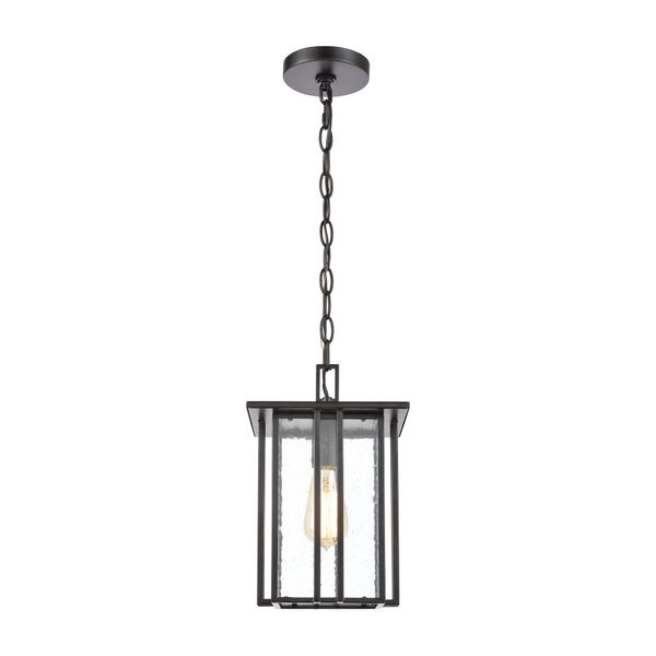 Radnor 8'' Wide 1-Light Outdoor Pendant - Matte Black
