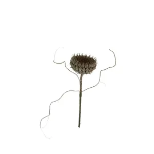 Botanica #2770 2