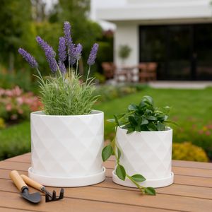 HEWITTROSE SET OF 2 WHITE PLANTER 11 (IN) 2