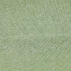 DECLANLAND GREEN TRAY 2 (IN) 6