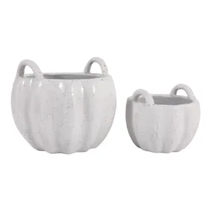 THEAHAM SET OF 2 WHITE PLANTER 11 (IN) 1