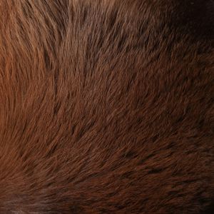 GIBSONPARK BROWN OTTOMAN 20 (IN) 9