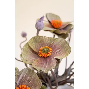 Botanica #2894 4