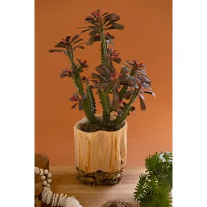 Recycled Fir Wood Vessel on a Mulberry Root Base 1
