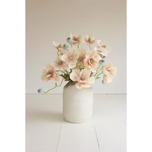 Botanica #2798 1