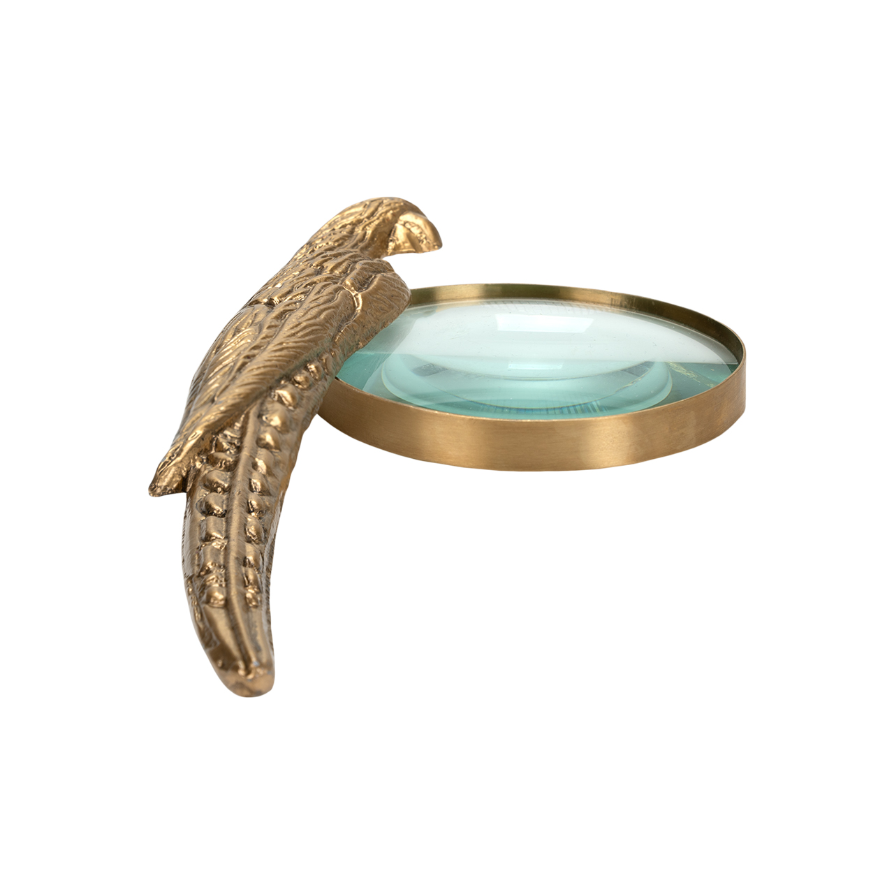 Norine Magnifying Glass 2