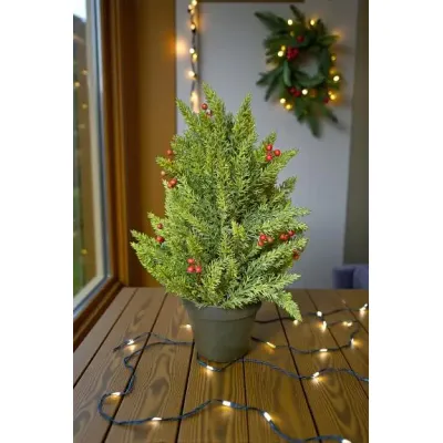 Small Evergreen Berry Pot 17in