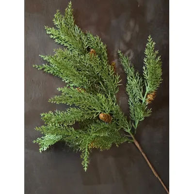 Mountain Pine Stem 19in