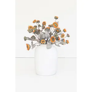 Botanica #2890 2