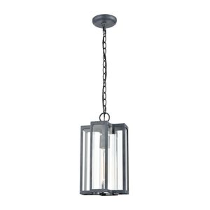 Bianca 8'' Wide 1-Light Outdoor Pendant - Aged Zinc 1