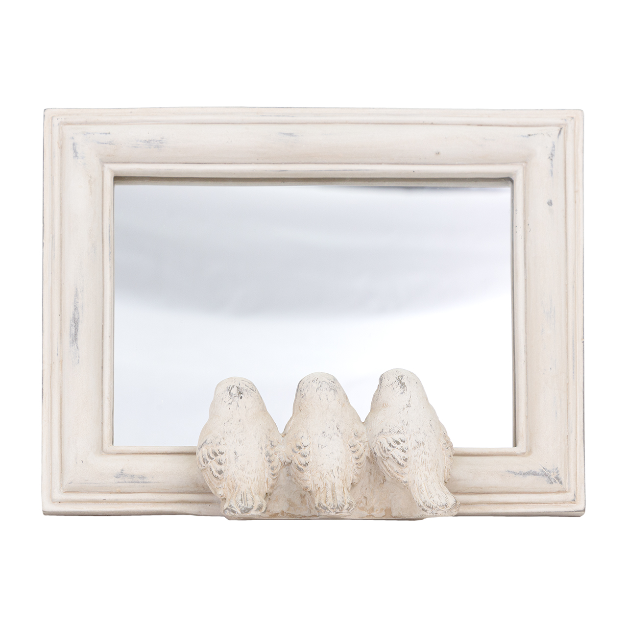 Bird Mirror -SB 2