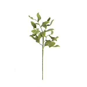Botanica #2425 4