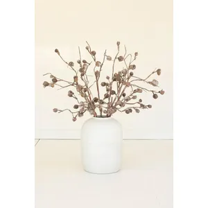 botanica #2863 2