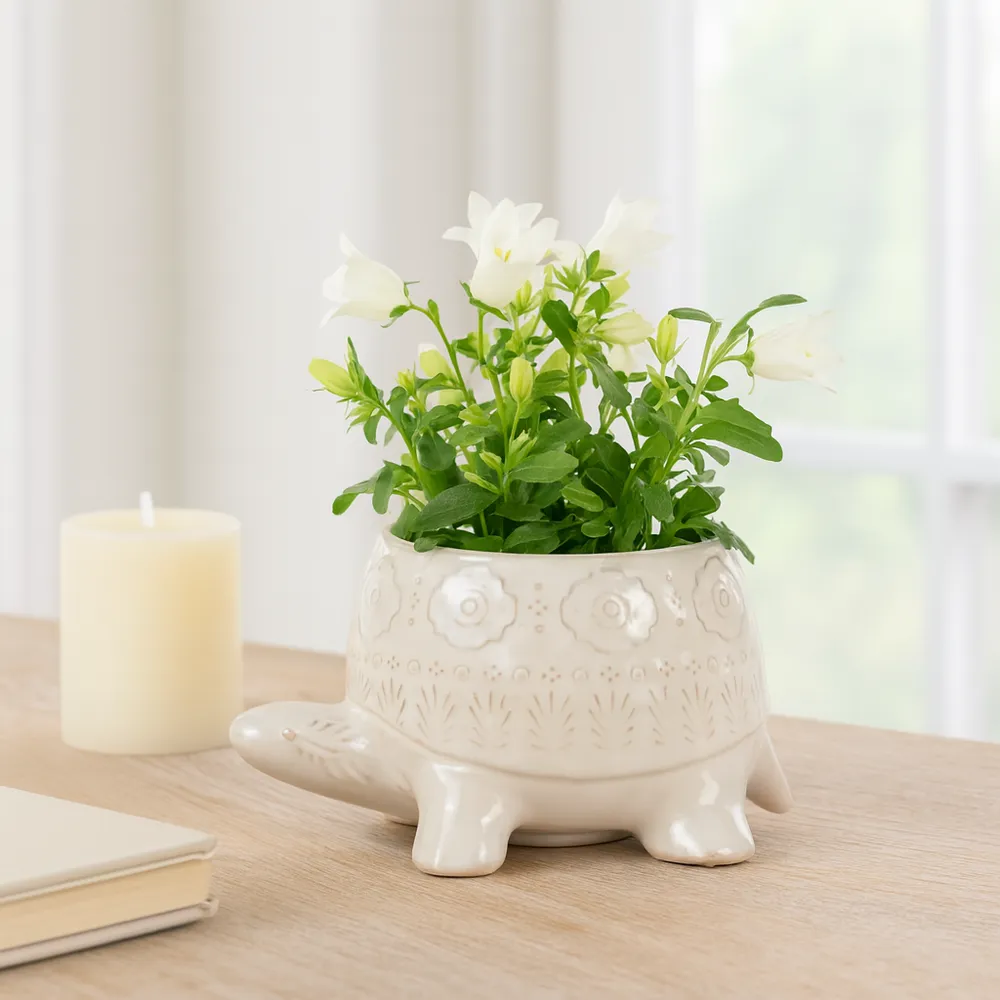 FARGOCROSS WHITE PLANTER 4 (IN)