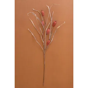 Botanica #2886 5
