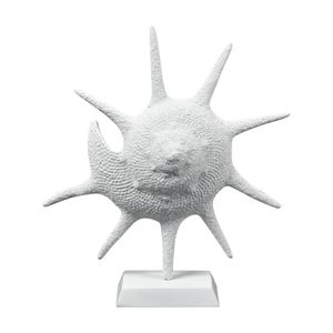 Marco Shell - Textured White 1