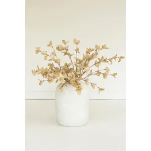 botanica #9038 2