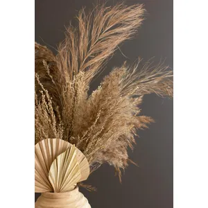 Large Bundle of Natural Pampas Grass 2