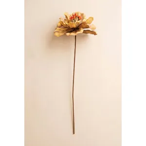 Botanica #9073 3
