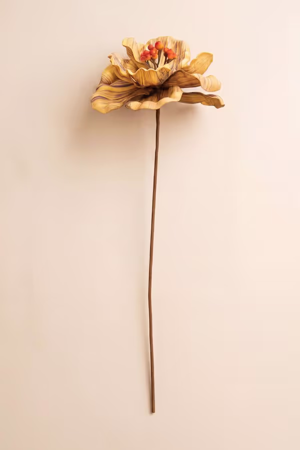 Botanica #9073