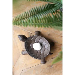Cast Iron Turtle Dish 2