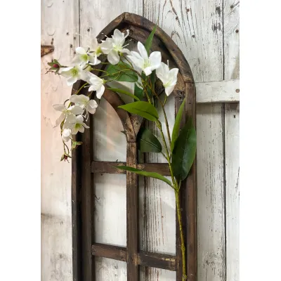 White Jasmine