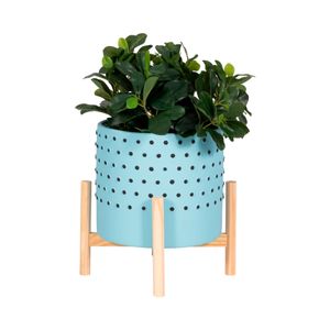 ALDENFORD BLUE PLANTER 11 (IN) 3