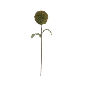 Botanica #3620 4