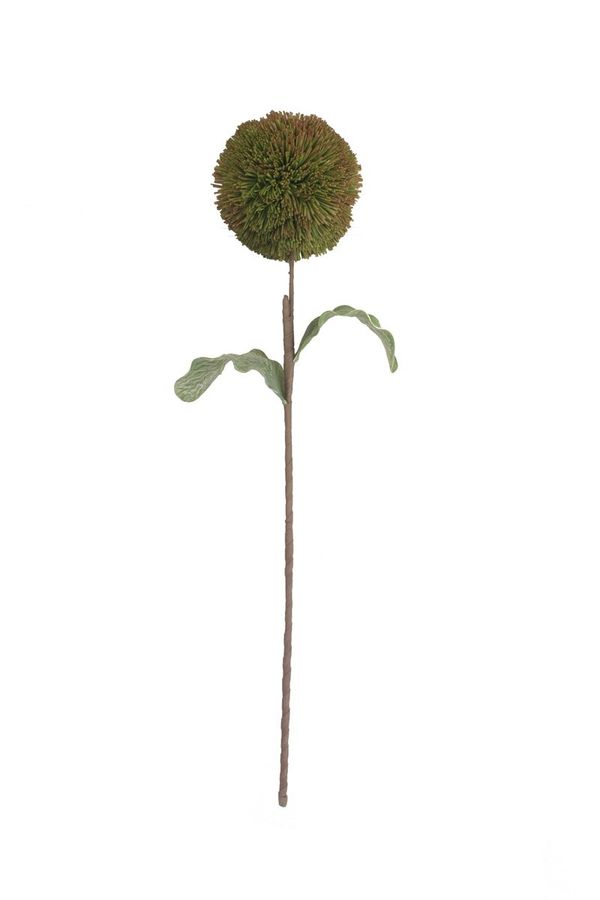 Botanica #3620