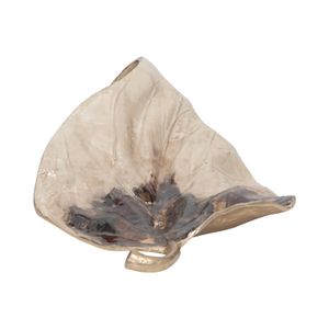 WINTONWIND IVORY METAL 6 (IN) 3