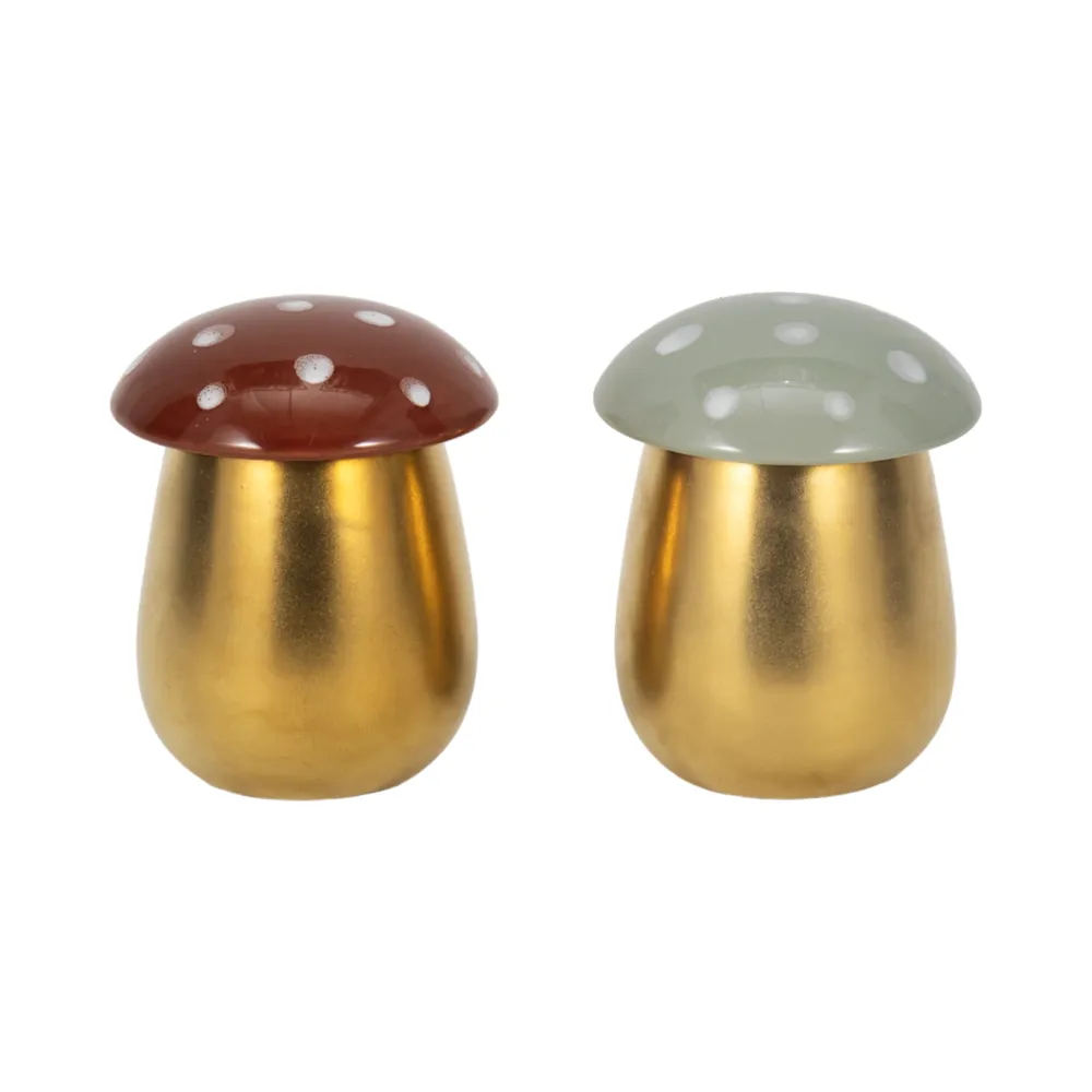 LINDENPARK SET OF 2 FIG&APRICOT CANDLE 5 (IN)