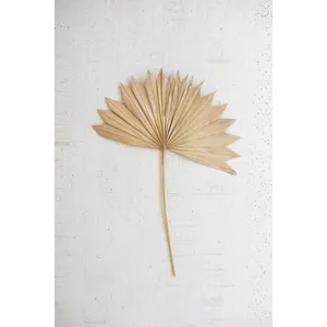 Large Natural Sun Palm Spear 1
