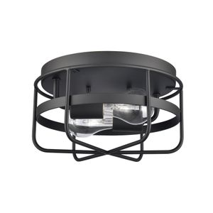 Gael 10'' Wide 2-Light Flush Mount - Matte Black 2