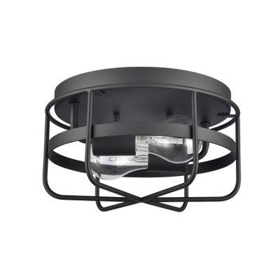 Gael 10″ Wide 2-Light Flush Mount - Matte Black