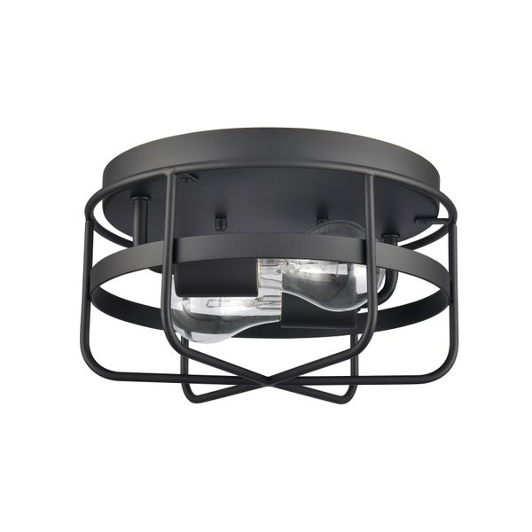 Gael 10'' Wide 2-Light Flush Mount - Matte Black