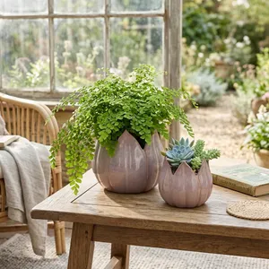GENTRYWIND SET OF 2 PURPLE PLANTER 7 (IN) 12