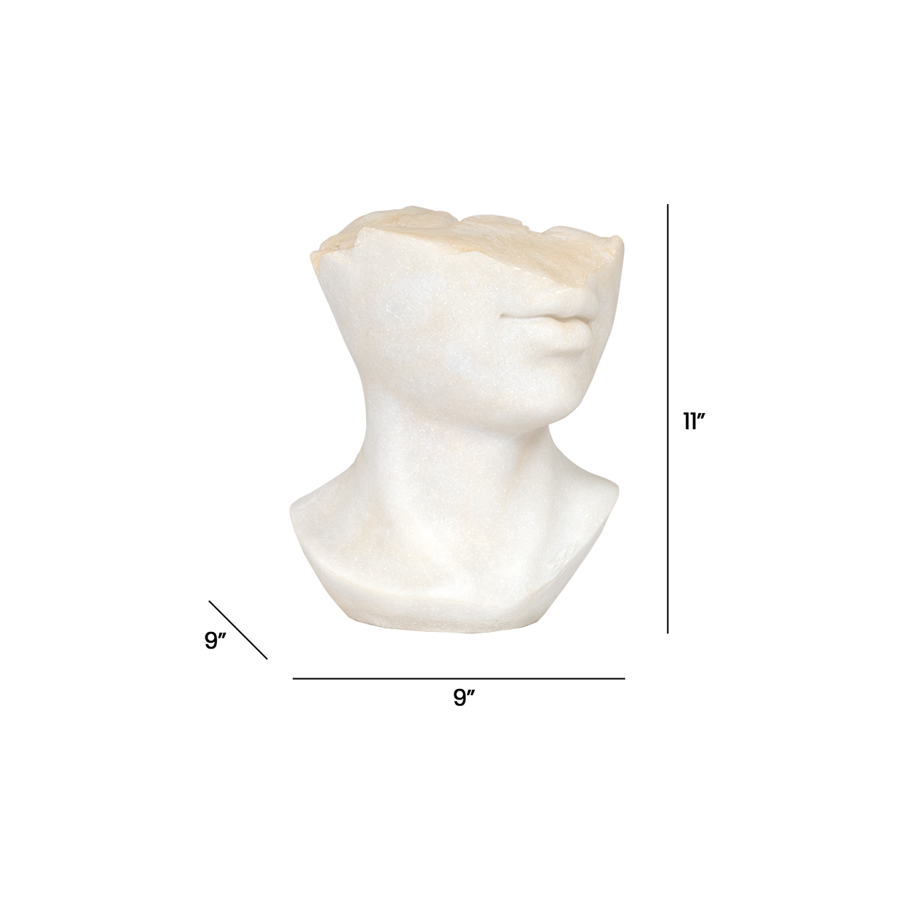 Aurelia Sculpture 3