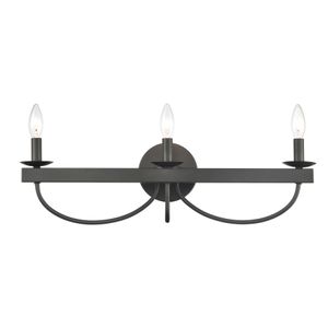 Williamson 24'' Wide 3-Light Vanity Light - Black 1
