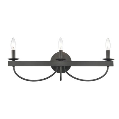 Williamson 24″ Wide 3-Light Vanity Light - Black