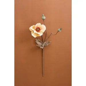 Botanica #2895 1