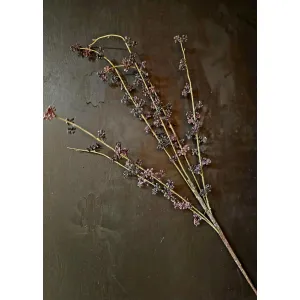 Plum Harvest Twig 40in 2
