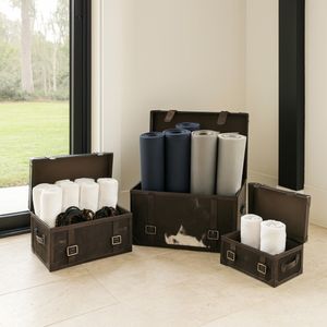 DECLANMOOR SET OF 3 BLACK TRUNK 15 (IN) 12