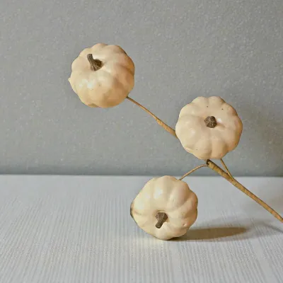 Short White Pumpkin Stem