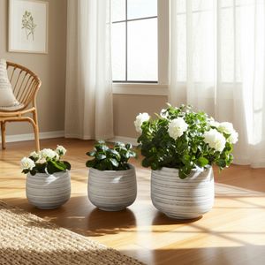 RAYMONDHAVEN SET OF 3 WHITE PLANTER 9 (IN) 12
